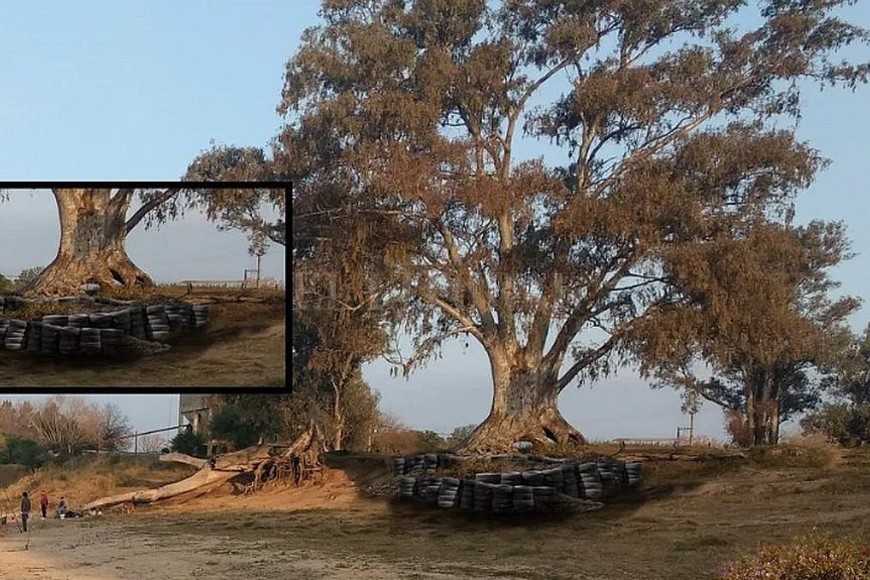 ELLITORAL_312067 |  Captura de pantalla