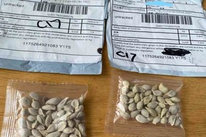 ELLITORAL_316326 |  Twitter