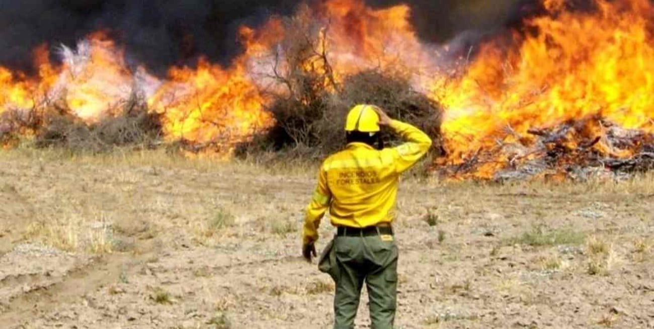 Se desplegaron refuerzos en cinco provincias afectadas por los incendios forestales