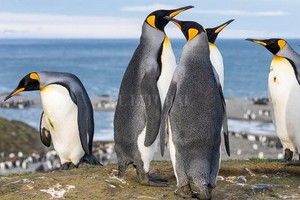 ELLITORAL_303012 |  Getty