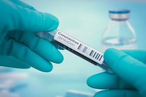 ELLITORAL_305935 |  dpa