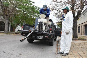 Guillermo Di Salvatore Para contribuir a eliminar el mosquito que transmite dengue hay que pensar en el territorio ampliado, porque vuela 100 metros a la redonda; entonces, nos puede picar el que se está criando en mi patio, pero también en el tacho con agua del vecino o en la obra en construcción al fondo de mi casa.