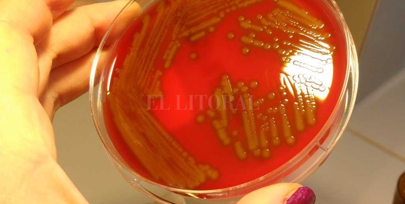 En Rosario también falleció una niña por la bacteria streptococcus pyogene