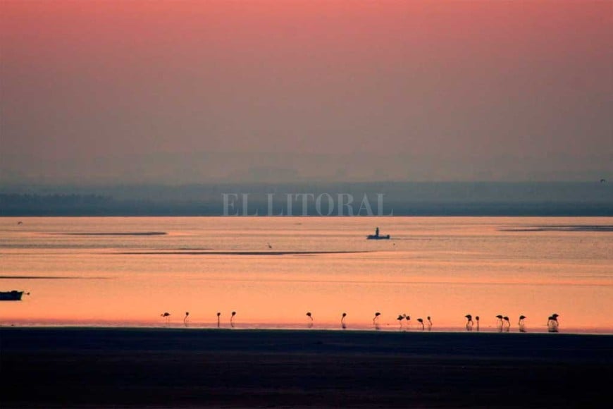 ELLITORAL_319642 |  Gentileza
