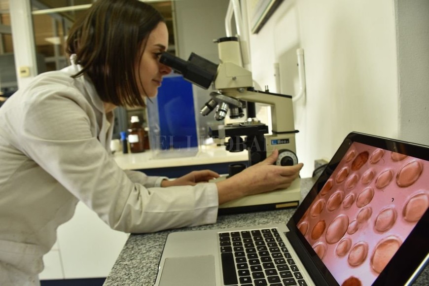 ELLITORAL_321109 |  Flavio Raina Laboratorio Central de análisis de todas las actividades concernientes al desarrollo de la tarea en campo.