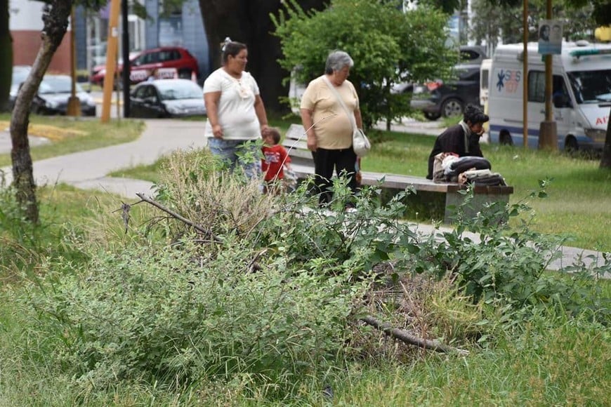 ELLITORAL_278982 |  Flavio Raina