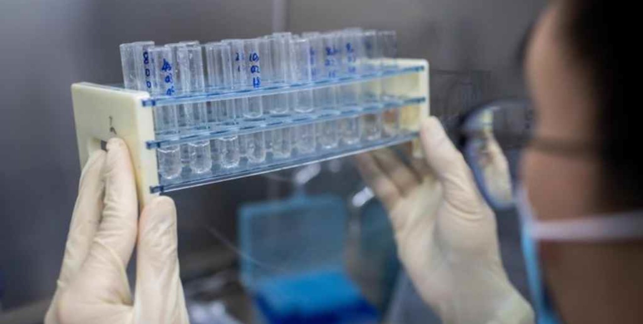 UBA: prueban una vacuna contra el coronavirus en animales y esperan hacerlo "en humanos" a fin de año 