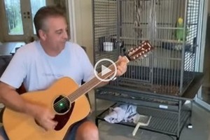 ELLITORAL_301701 |  Captura de pantalla