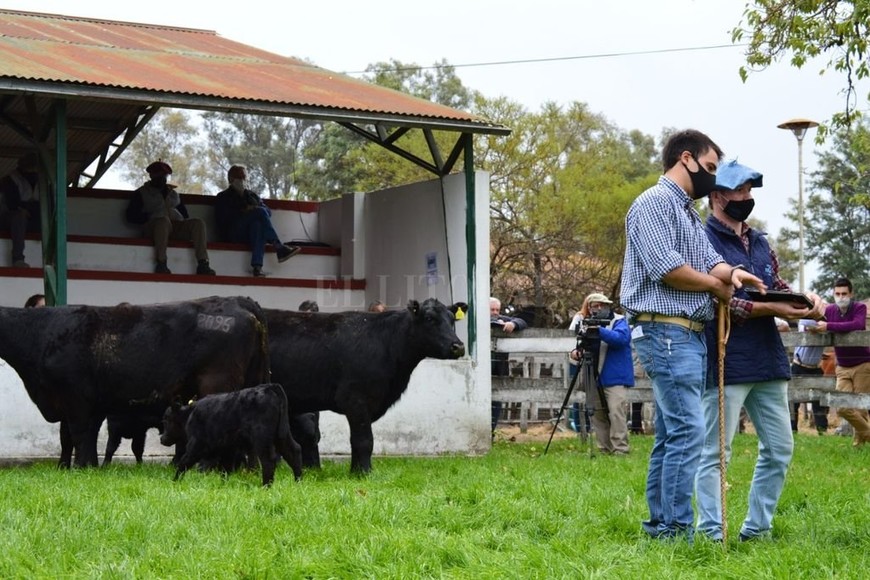 En el Litoral, Angus largó la primera jura de la Argentina