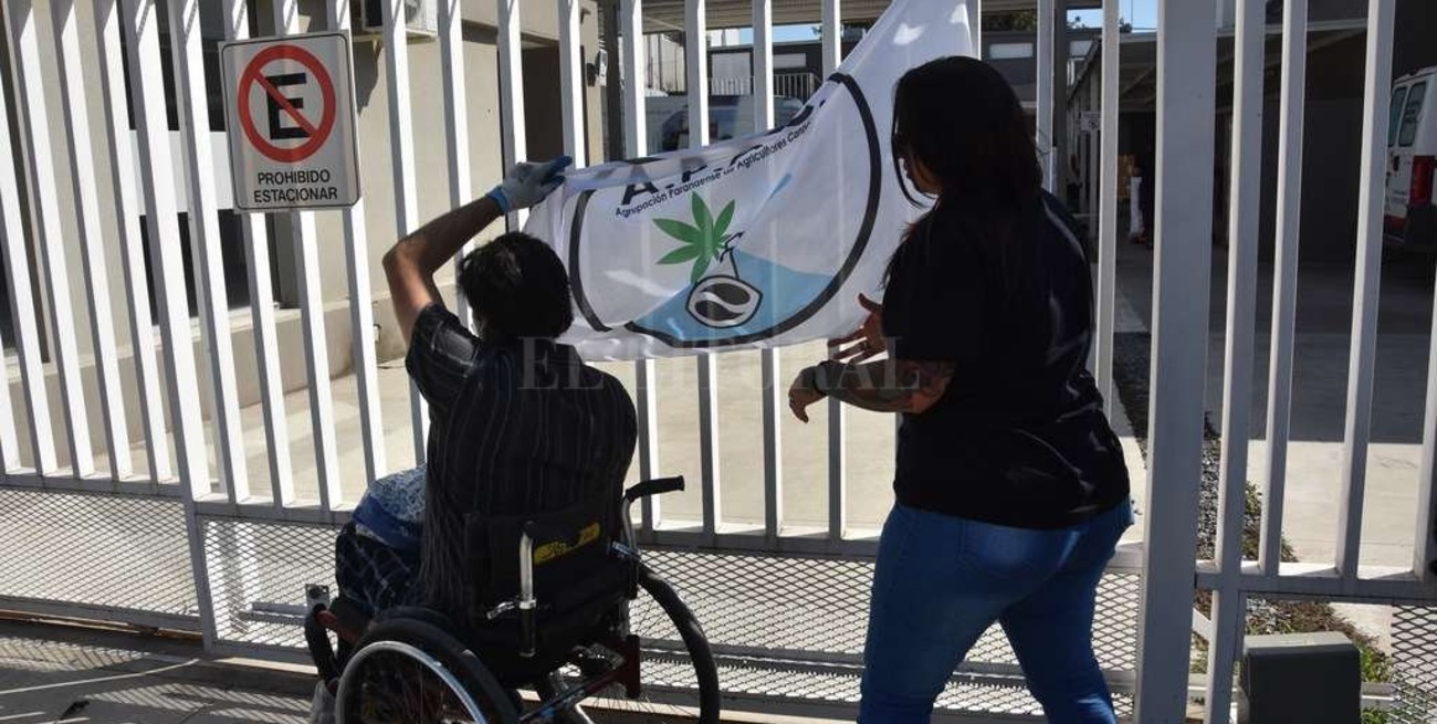 Reclaman la implementación de la ley de cannabis medicinal