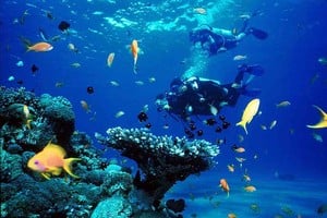 ELLITORAL_306342 |  Imagen ilustrativa