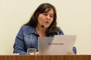 Archivo El Litoral Alejandra Obeid.