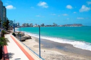 ELLITORAL_309395 |  Gentileza