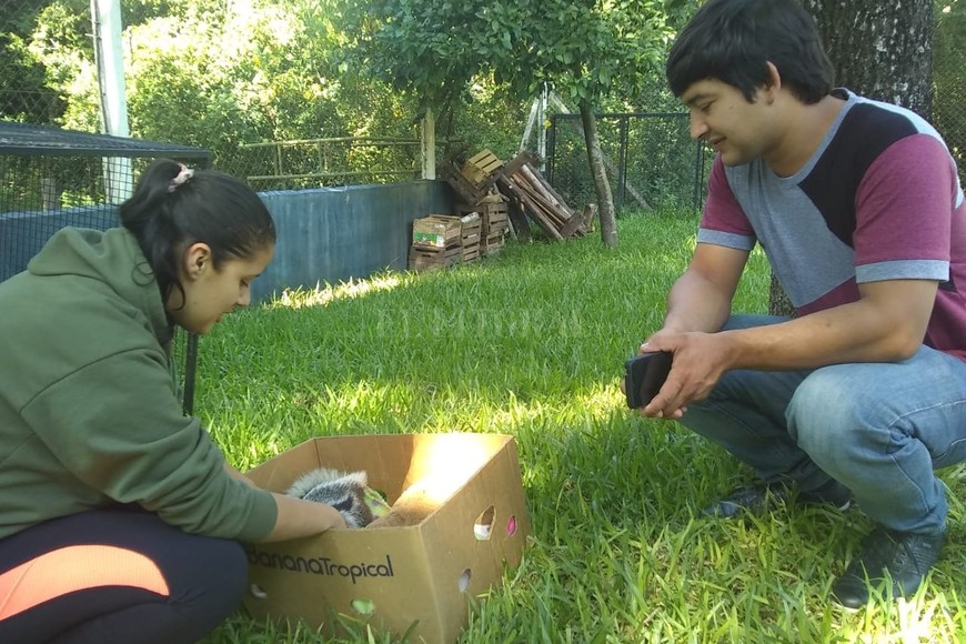 ELLITORAL_279809 |  Proyecto Iberá