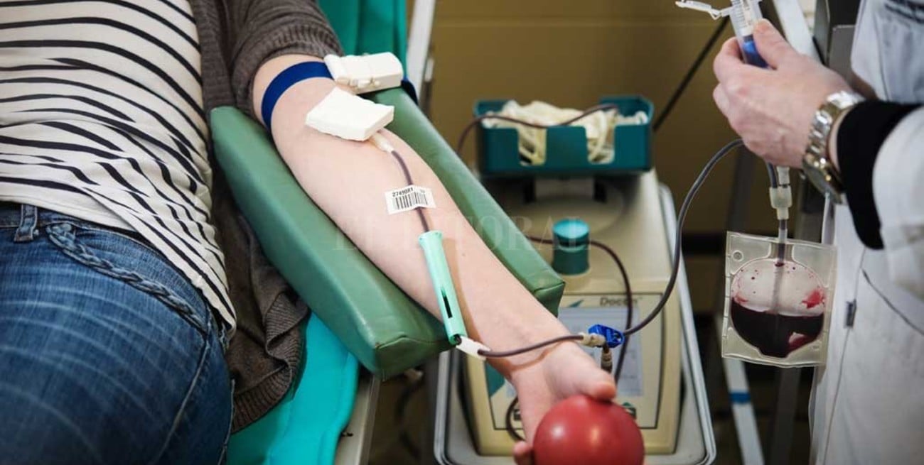Conmemoran el Día nacional del donante voluntario de sangre: mirá los lugares donde se realizan colectas 