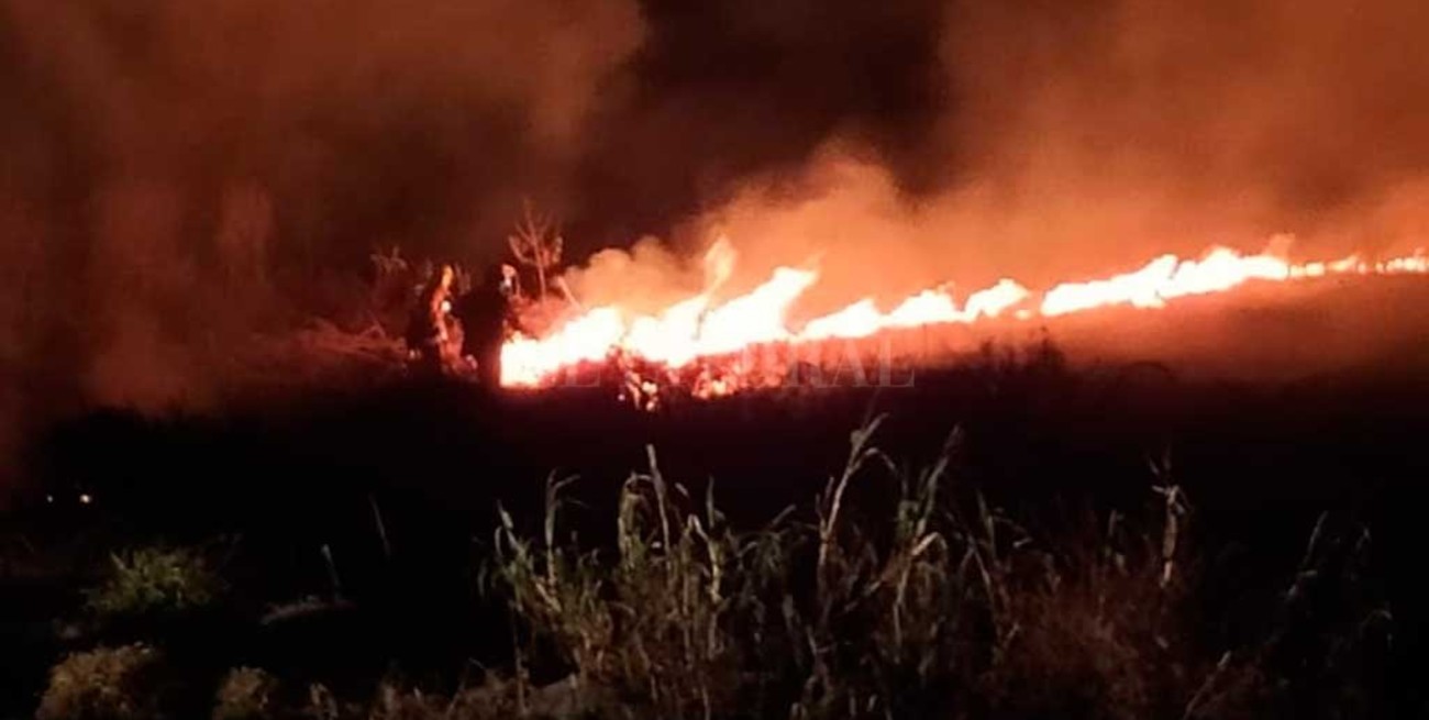Incendios en la provincia: "Nunca vi algo así", dijo el jefe de los Bomberos