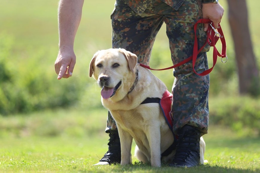 ELLITORAL_311888 |  dpa