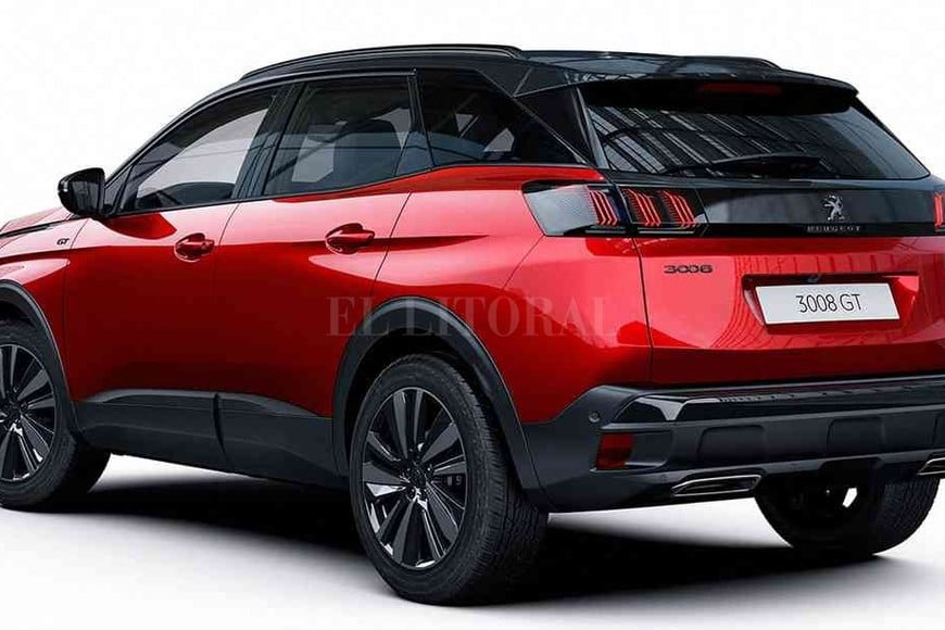 ELLITORAL_329071 |  Gentileza