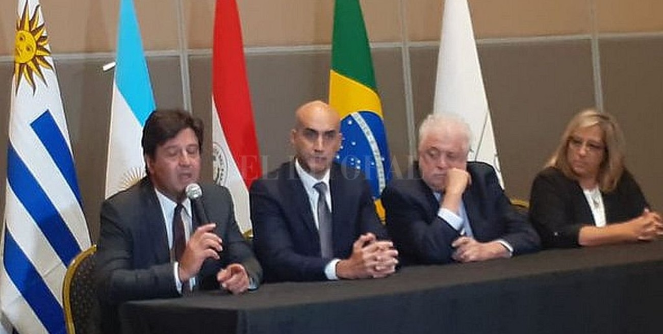 Dengue: ministros de Salud del Mercosur acordaron medidas de "acción rápida"