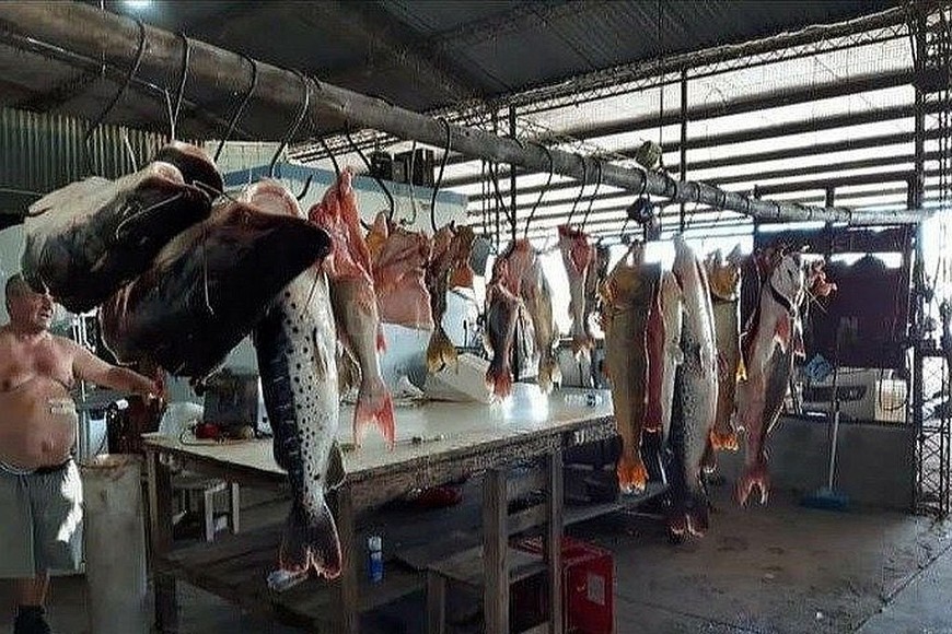 ELLITORAL_283159 |  Captura de pantalla