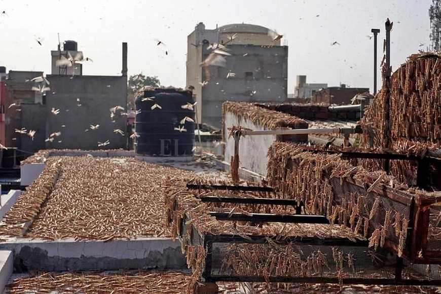 ELLITORAL_304627 |  AFP