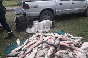 ELLITORAL_323417 |  Gentileza