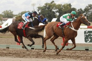 ELLITORAL_273140 |  Archivo