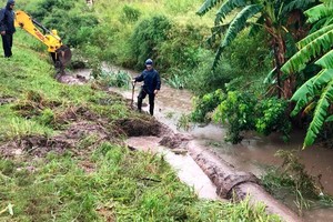 ELLITORAL_234888 |  Twitter