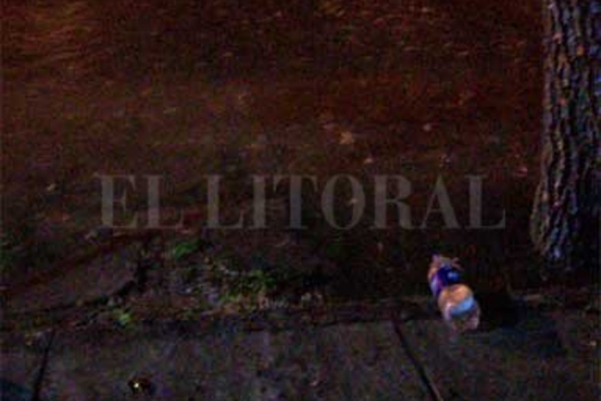 ELLITORAL_275906 |  Periodismo Ciudadano / WhatsApp La zona de Moreno y Roque Sáenz Peña