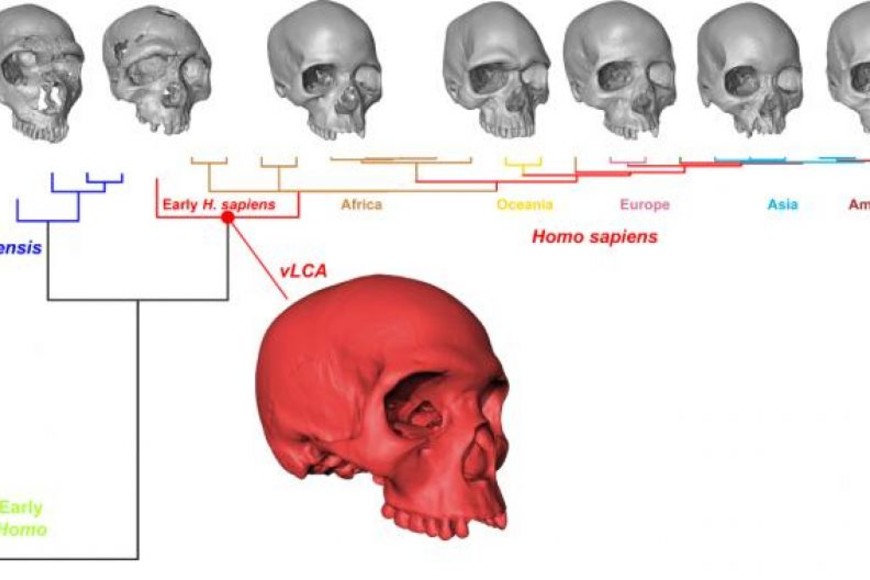 ELLITORAL_261934 |  Gentileza