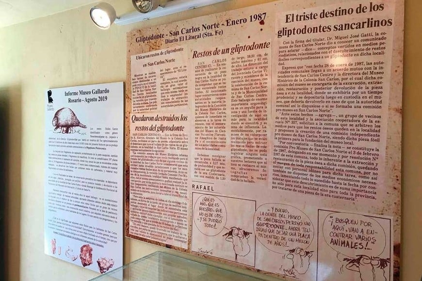 ELLITORAL_281664 |  El Litoral El ejemplar pertenece a la familia de los gliptodontes más chicos. Son parientes lejanos de los  mulitas ,  peludos  o también denominados  Tatu carreta  y se sabe que desaparecieron hace aproximadamente 8.000 años.