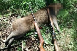 ELLITORAL_303464 |  Captura de pantalla