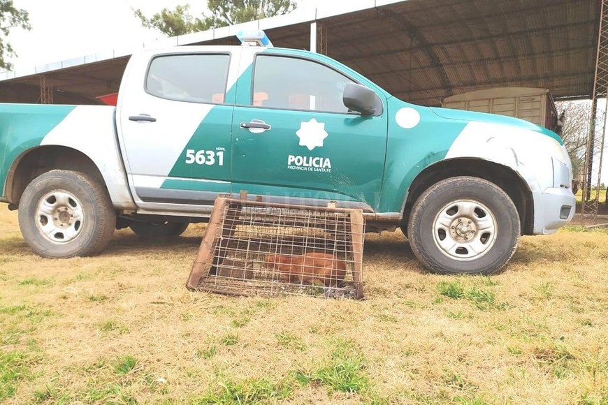 ELLITORAL_315180 | Gentileza