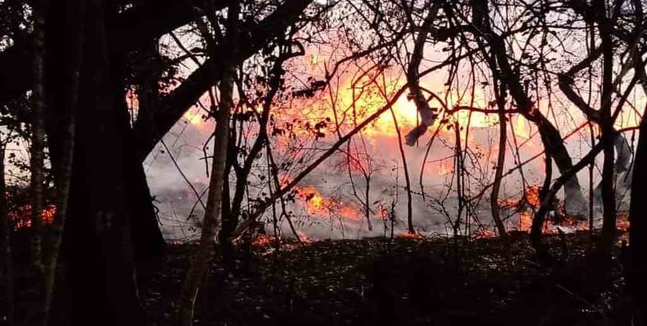Córdoba: tres focos de incendios forestales permanecen activos en la provincia