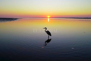 ELLITORAL_302640 |  Fernando Nicola (Drone)