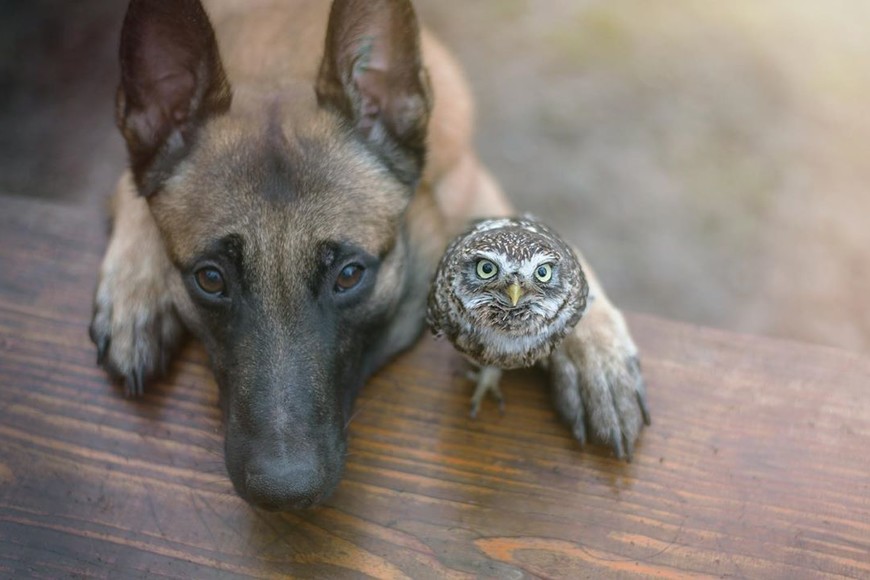 ELLITORAL_266679 |  Instagram tanja_brandt