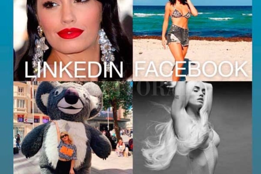 ELLITORAL_282067 |  Instagram