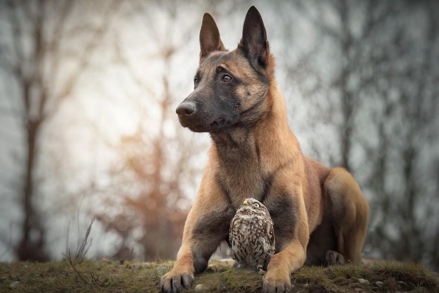 ELLITORAL_266682 |  Instagram tanja_brandt