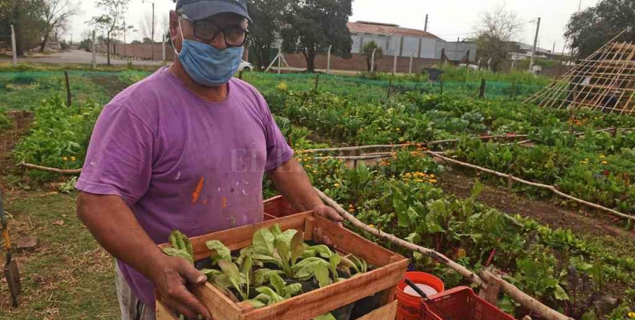 Agricultura urbana: Rosario hace punta en el país con un programa municipal