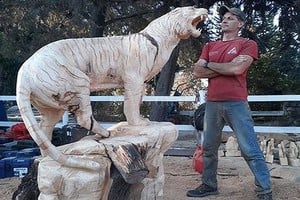 ELLITORAL_285590 |  Captura de pantalla