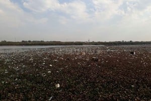 ELLITORAL_221229 | Gentileza Basura. Es la que se acumula hoy en el reservorio 5, detrás del Jockey Club, donde comenzó la obra de transformación y saneamiento.