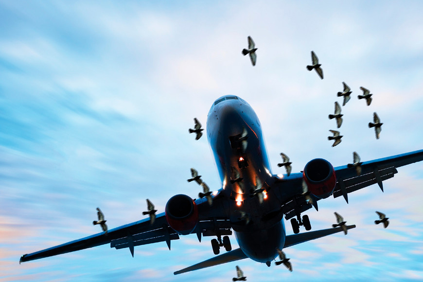 ELLITORAL_268542 |  Archivo. Imagen ilustrativa