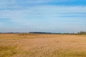 ELLITORAL_311987 |  El Litoral