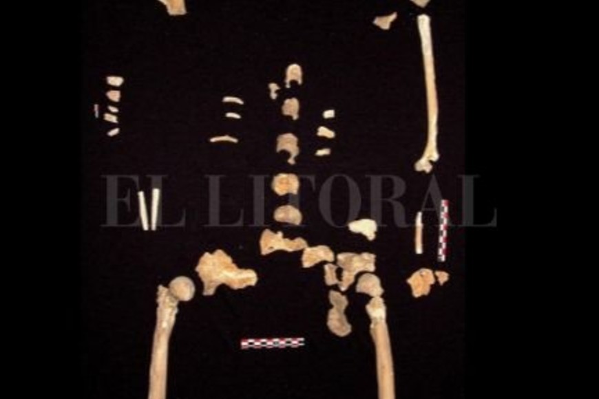 ELLITORAL_284163 |  Captura de pantalla