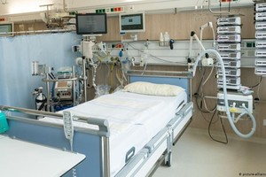 ELLITORAL_297062 |  DW