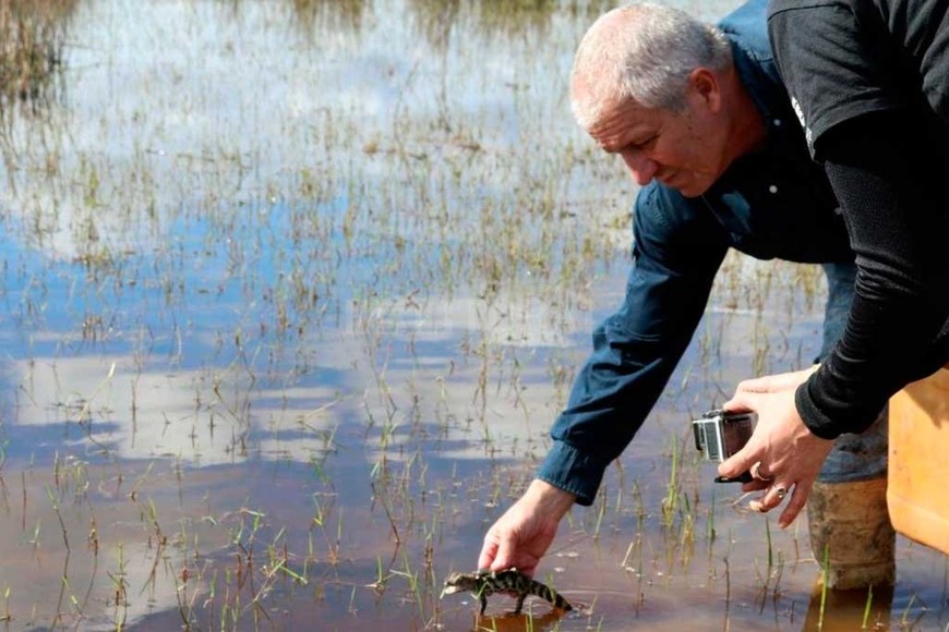 ELLITORAL_254745 |  Gentileza