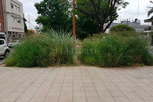 ELLITORAL_278941 |  El Litoral