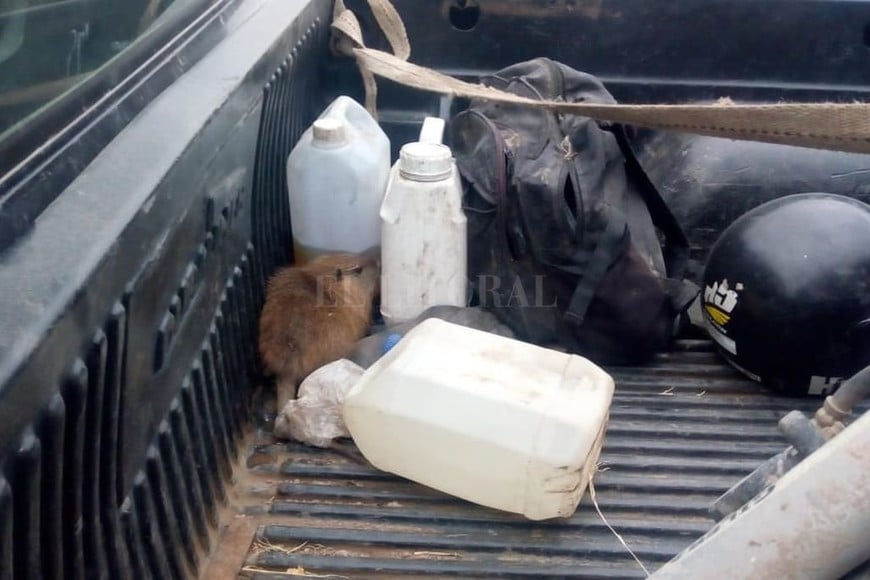 ELLITORAL_322846 |  Gentileza fuentes policiales