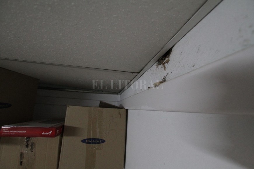 ELLITORAL_243826 |  Mauricio Garín