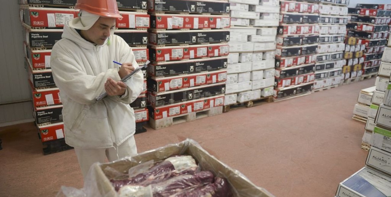 Las exportaciones de carne compensarían la baja de la demanda interna